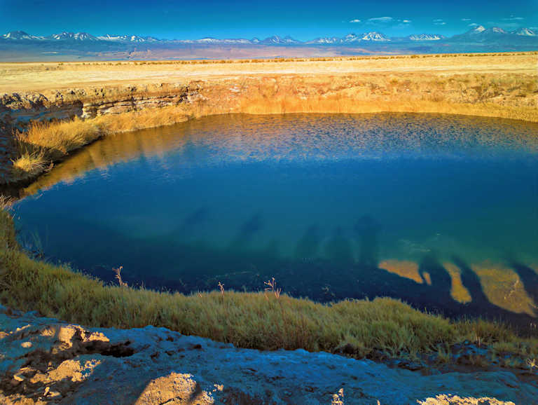 Ojos del Salar Image 2