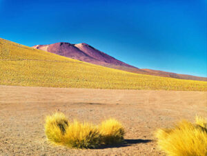 El Tatio Geysers Image 14