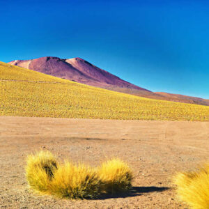 El Tatio Geysers Image 14