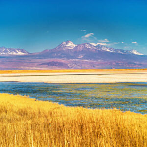 Laguna Cejar Master Featured Image