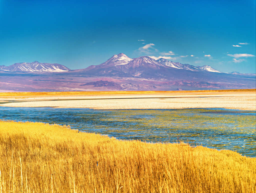 Laguna Cejar Master Featured Image