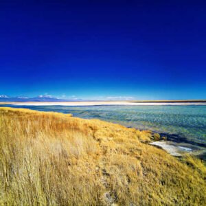 Laguna Cejar Image 1