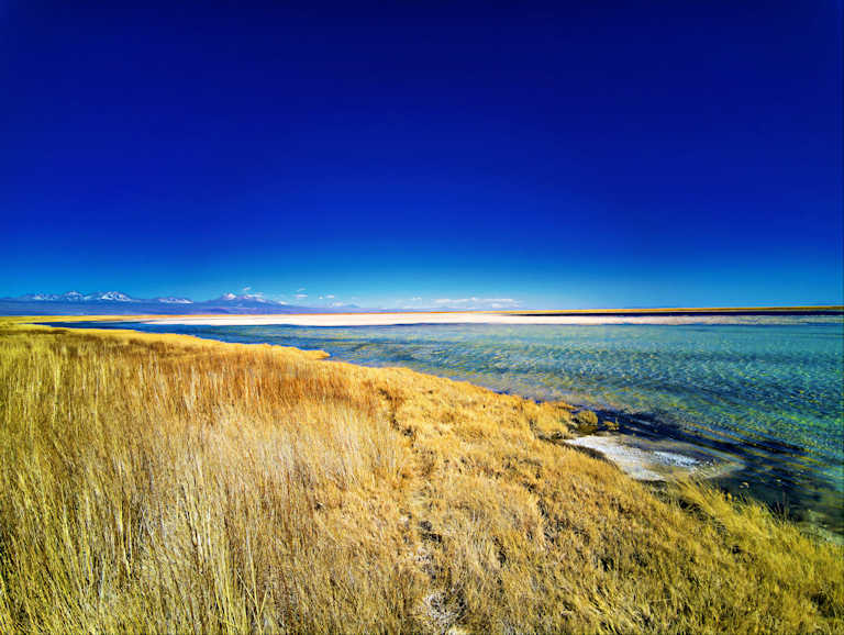 Laguna Cejar Image 1