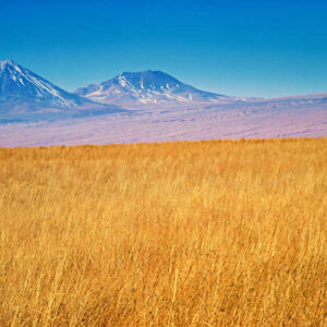 Laguna Cejar Image 2