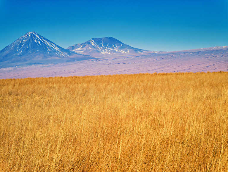 Laguna Cejar Image 2