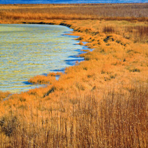 Laguna Cejar Image 5