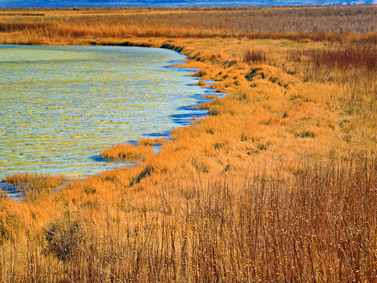 Laguna Cejar Image 5