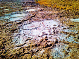 Laguna Cejar Image 6