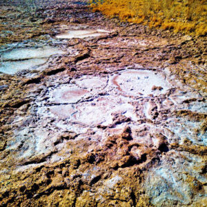 Laguna Cejar Image 6