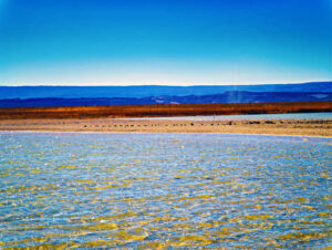 Laguna Cejar Image 7