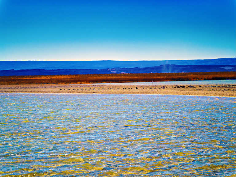 Laguna Cejar Image 7