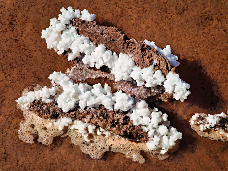 Salar de Atacama Image 6